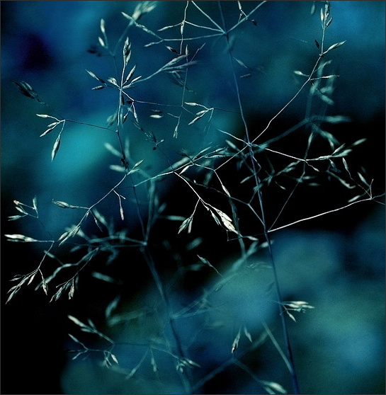 priroda5.jpg